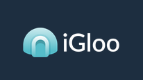 igloo review